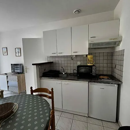 Apartment Cosy 2-4 Pers, Centre Ville, Animaux Admis - Fr-1-194-441