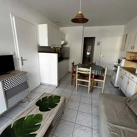Cosy 2-4 Pers, Centre Ville, Animaux Admis - Fr-1-194-441 Appartement *